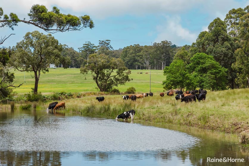 Click to view all images 198 Glenrowan Road Scotsdale WA 6333 - Image 2