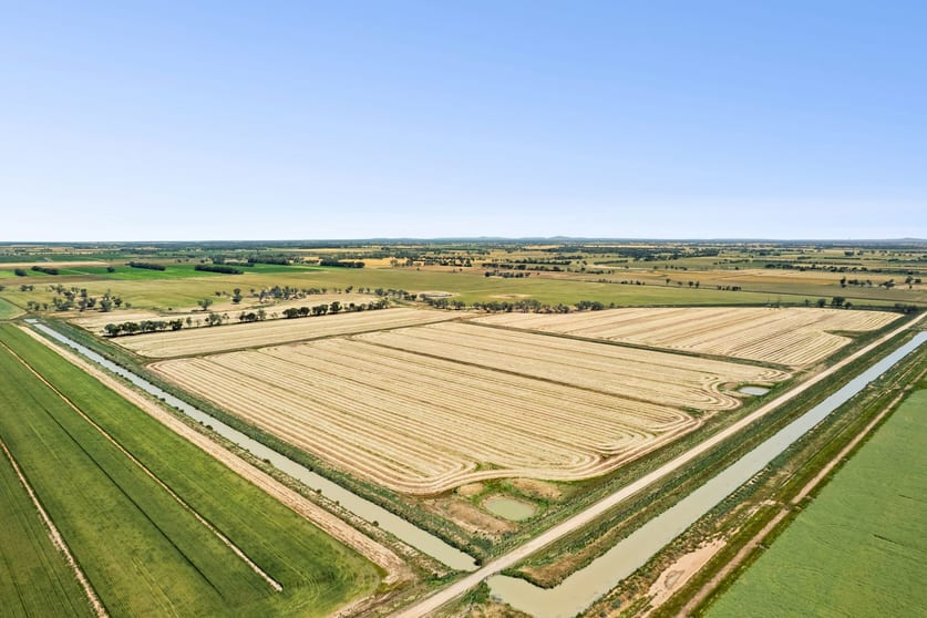 Lot N Murphys & Hercus Road Calivil VIC 3573 - Image 1