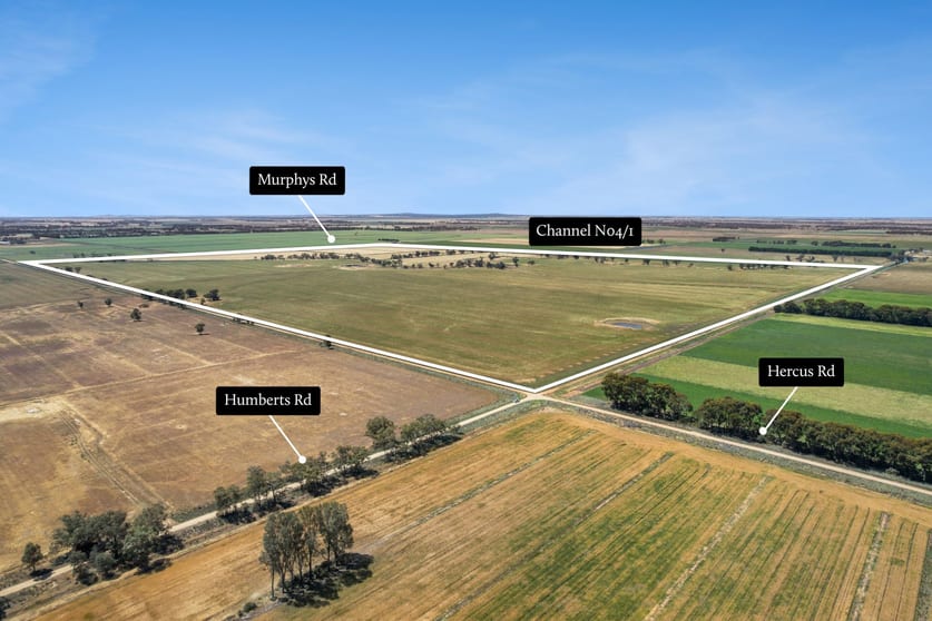 Lot N Murphys & Hercus Road Calivil VIC 3573 - Image 3