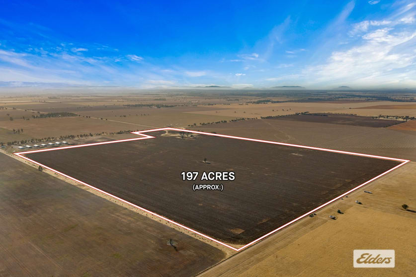 Lot 2 Soldiers Road Marnoo West VIC 3387 - Image 1
