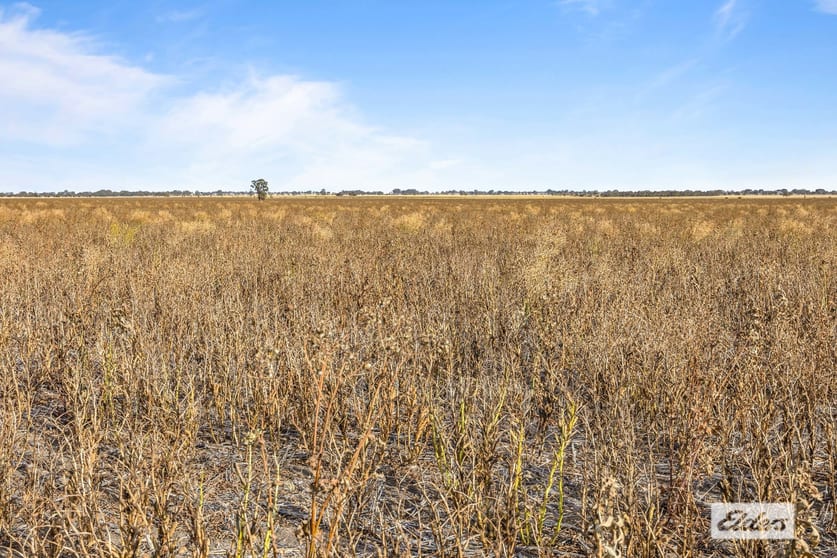 Lot 2 Soldiers Road Marnoo West VIC 3387 - Image 2