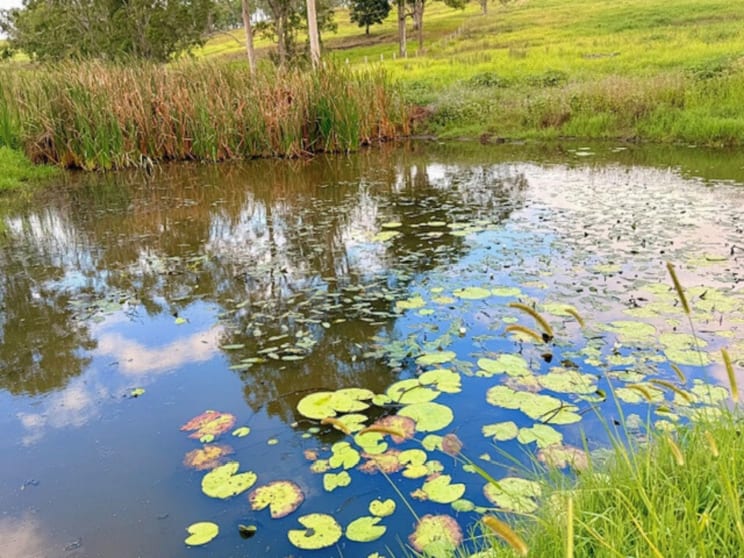 Click to view all images 4411 Bruxner Highway Piora NSW 2470 - Image 3
