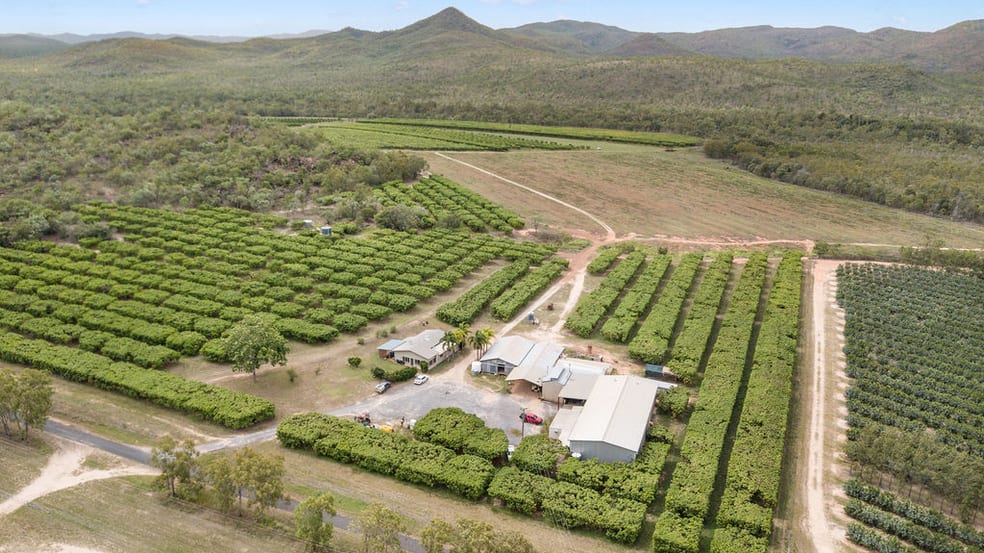 1151 Leafgold Weir Road Dimbulah QLD 4872 - Image 2