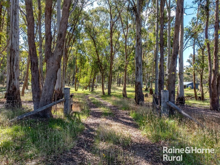 1739 Bigga Road Bigga NSW 2583 - Image 1
