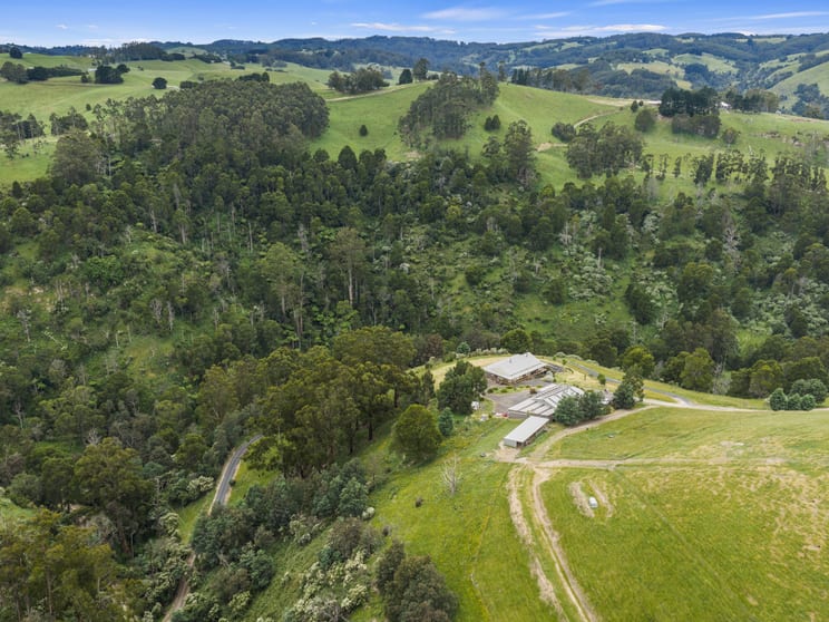 350 Wild Dog Road Strzelecki VIC 3950 - Image 1