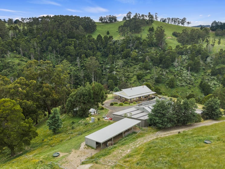 350 Wild Dog Road Strzelecki VIC 3950 - Image 2