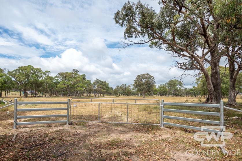 320 Cemetery Road Torrington NSW 2371 - Image 2