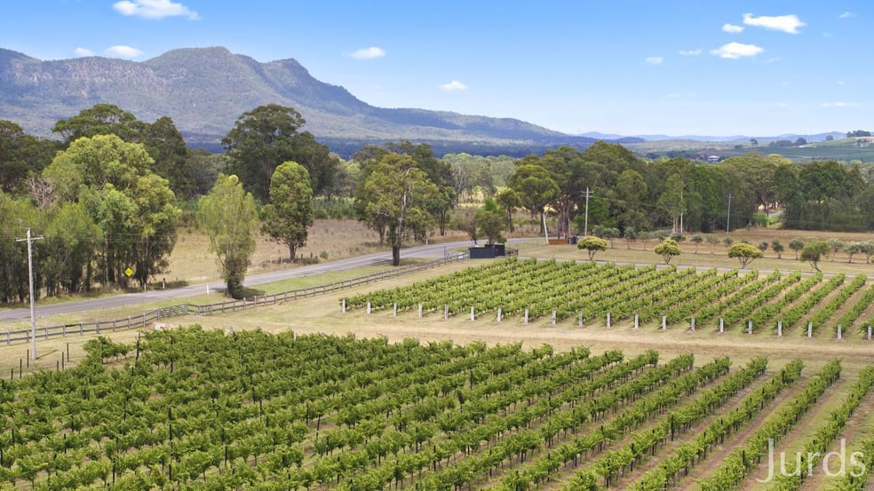 223 Deasys Road Pokolbin NSW 2320 - Image 3