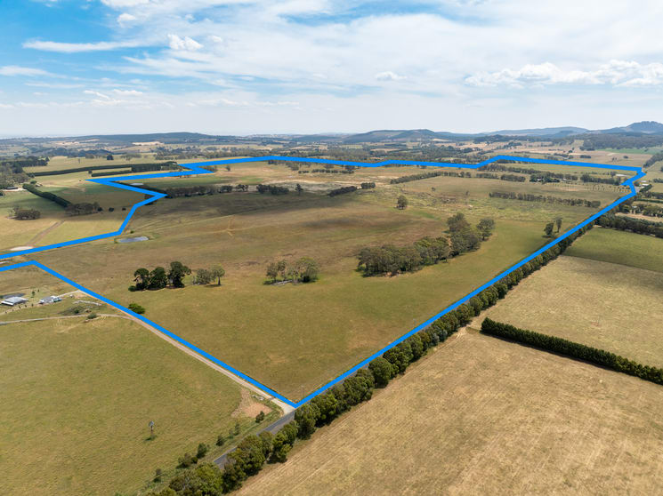 56 Orchard Road Springside NSW 2800 - Image 1