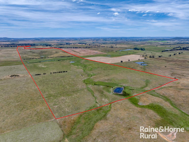 909 Windellama Road Goulburn NSW 2580 - Image 1