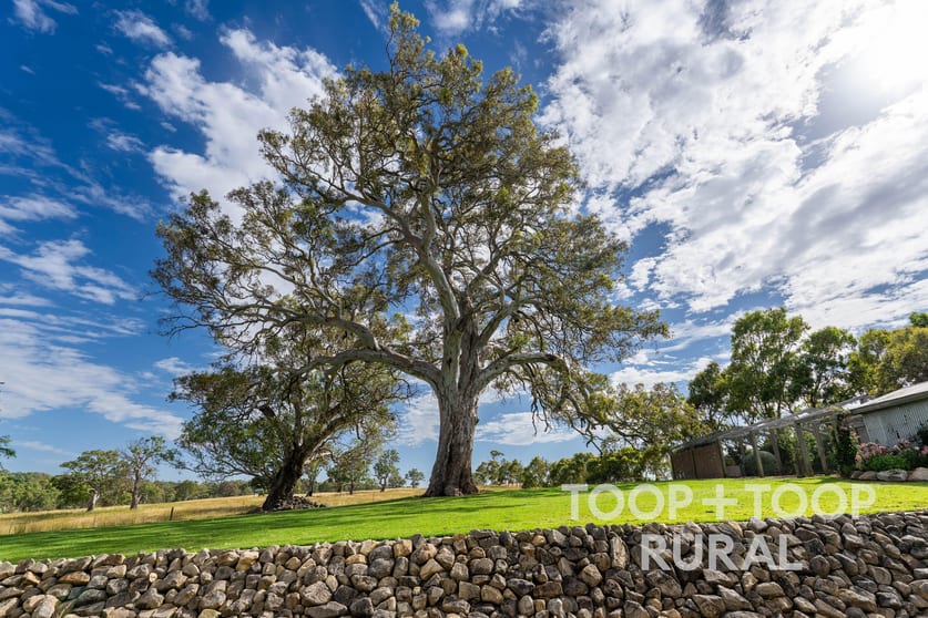 70 Scottsburn Road Woodside SA 5244 - Image 2