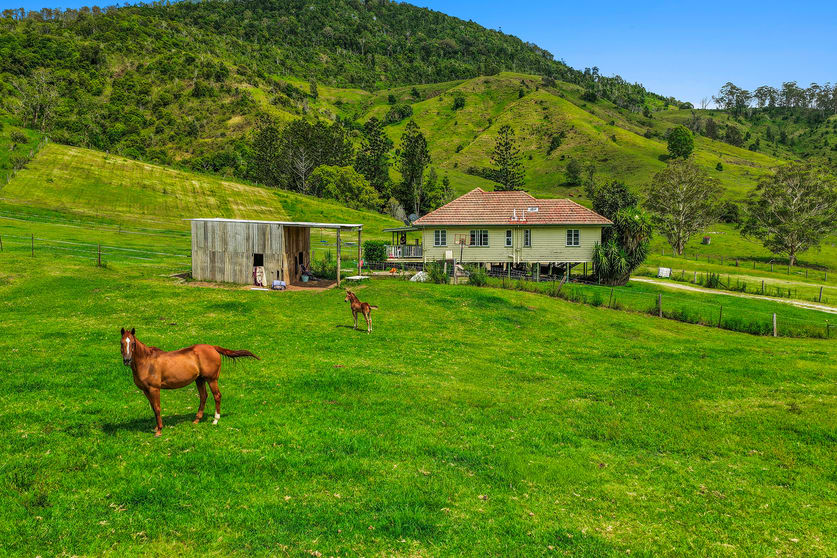 Click to view all images 248 Illinbah Road Illinbah QLD 4275 - Image 2