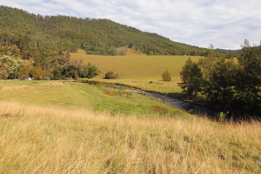 2 Lower Creek Rd Lower Creek NSW 2440 - Image 1