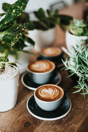 Food, Beverage & Hospitality  business for sale in Ocean Grove - Image 1
