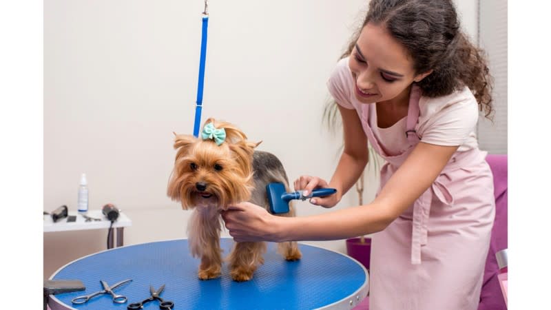 Animal Related  business for sale in Sutherland - Image 2