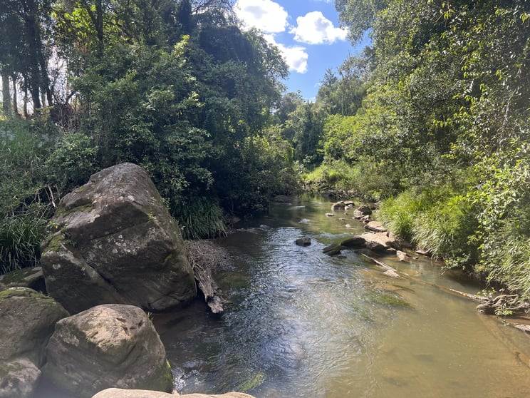 Click to view all images 1855 Nimbin Road Coffee Camp NSW 2480 - Image 2