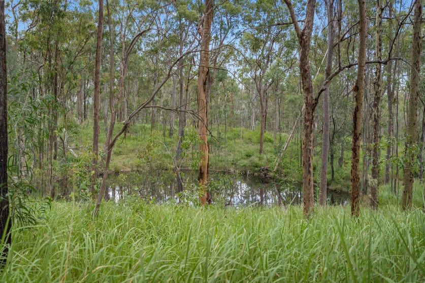 Click to view all images Lot 76 Rice Road Lyons QLD 4124 - Image 2