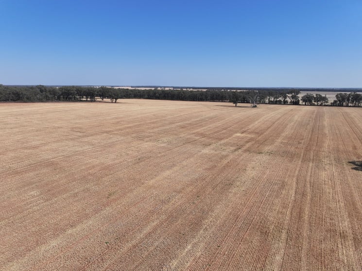 'Wattlevale' 875 Schmidts Lane Gidginbung NSW 2666 - Image 3