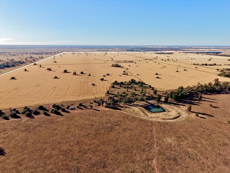 Click to view all images Buddabadah NSW 2825 - Image 1