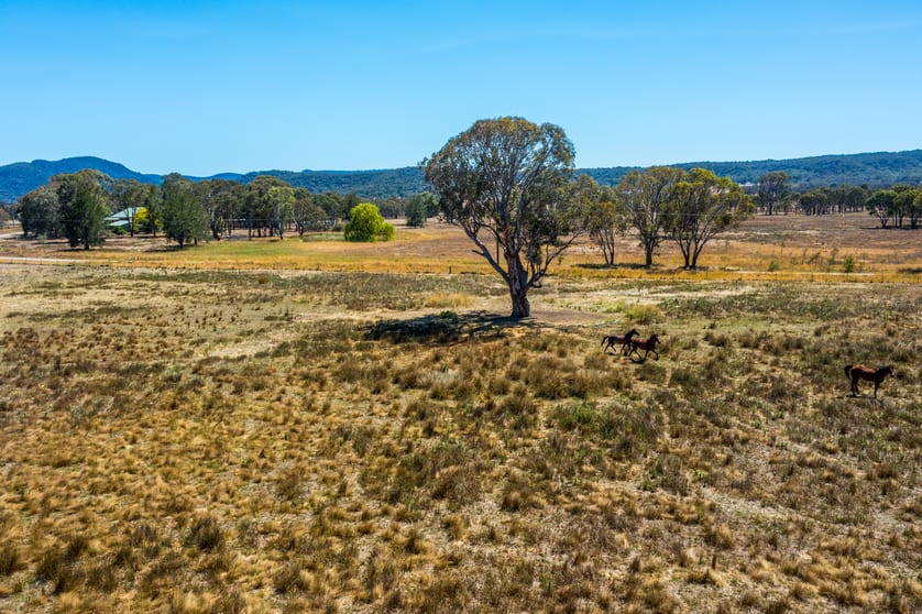 271 Pyangle Road Rylstone NSW 2849 - Image 1