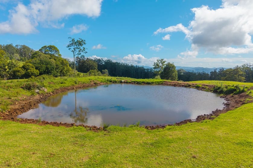 669 Costigans Road Yarras NSW 2446 - Image 2