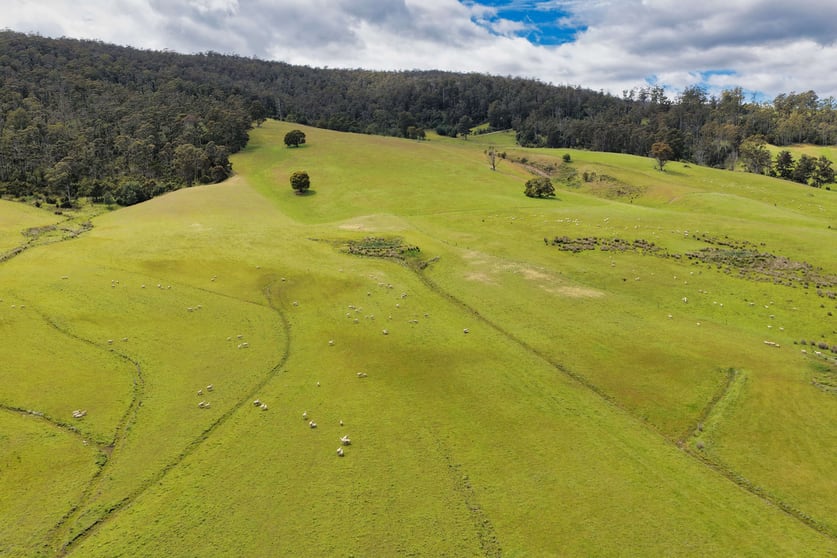 Click to view all images 983 Bogan Road Golden Valley TAS 7304 - Image 3