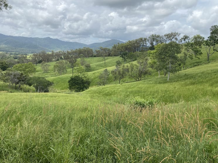 558 Marlborough-Sarina Road Sarina QLD 4737 - Image 1