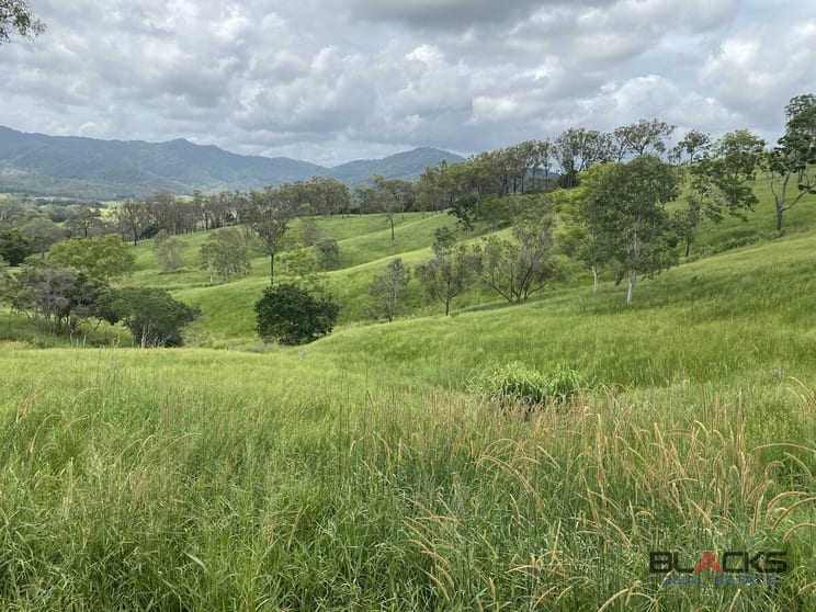 Click to view all images 558 Marlborough-Sarina Road Sarina QLD 4737 - Image 1