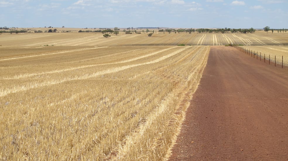 Click to view all images Glen Waddi, Waddy Forest Coorow WA 6515 - Image 2