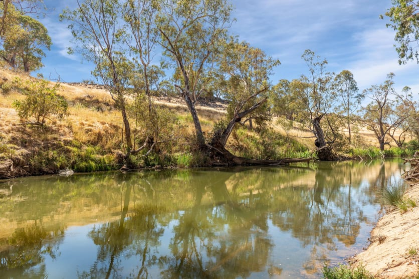 93 Axedale Quarry Road Axedale VIC 3551 - Image 3