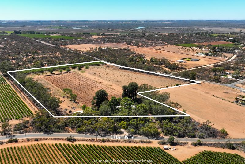 491 Dalziel Road Winkie SA 5343 - Image 3