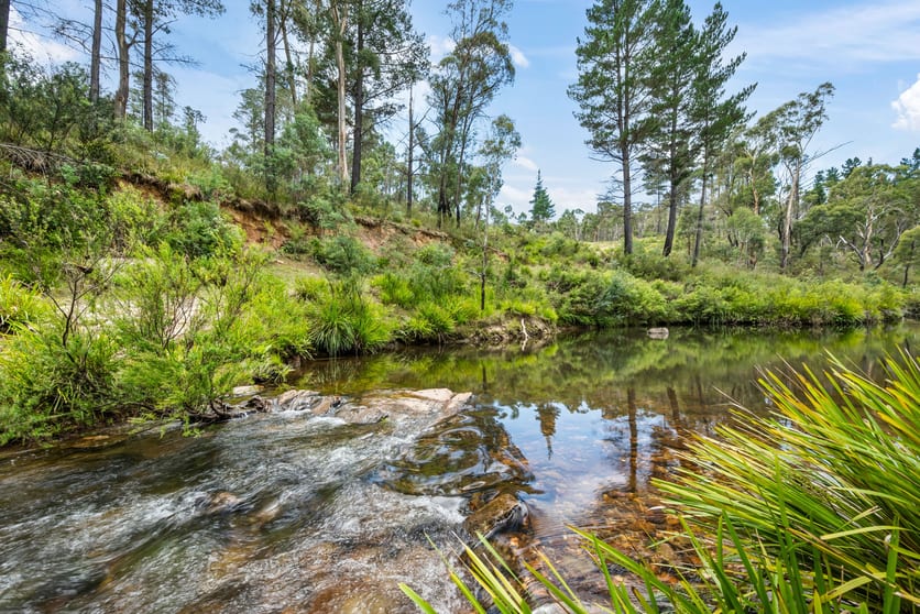 Click to view all images 7288 Nerriga Road Braidwood NSW 2622 - Image 3
