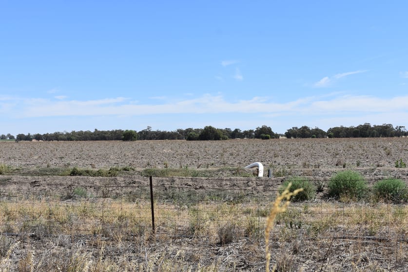 Farms 5, 5 Additional, 45, 46 & 47 Coleambally NSW 2707 - Image 3