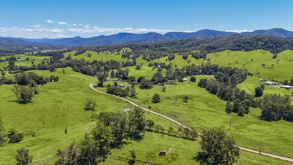 55 Argues Rd Upper Taylors Arm NSW 2447 - Image 1