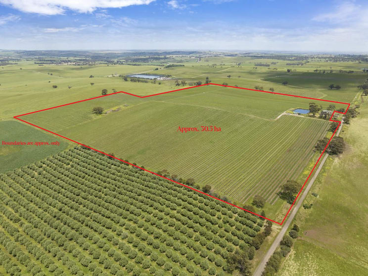 Lot 54 Tank Road Auburn SA 5451 - Image 1