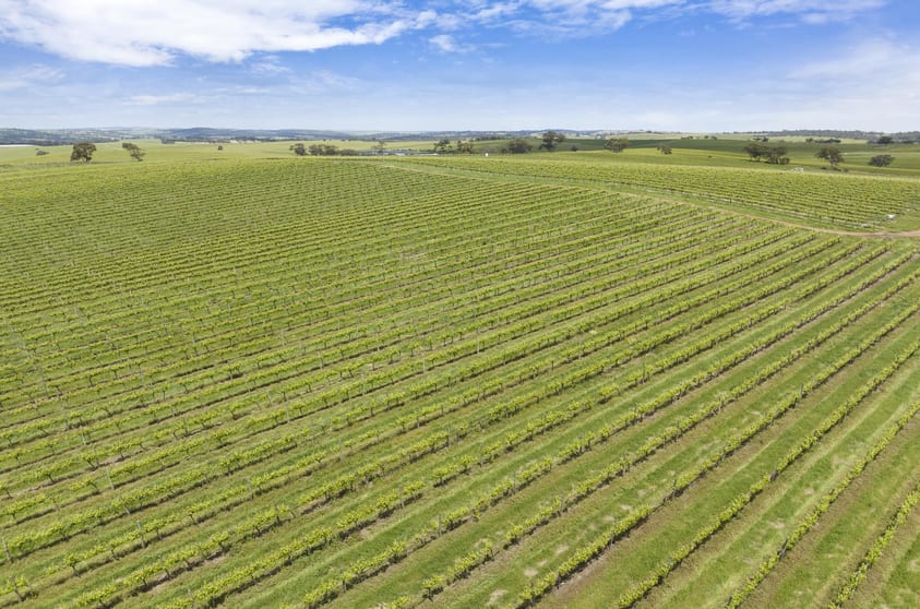 Lot 54 Tank Road Auburn SA 5451 - Image 3