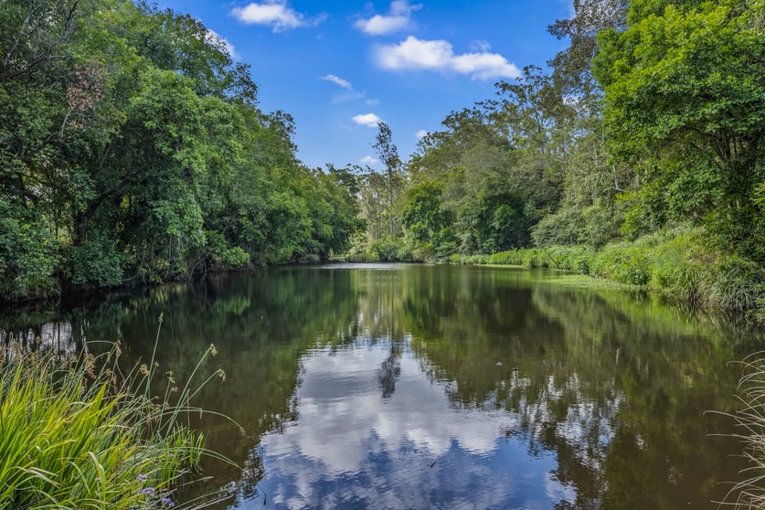 80 Dargavilles Road Nabiac NSW 2312 - Image 1