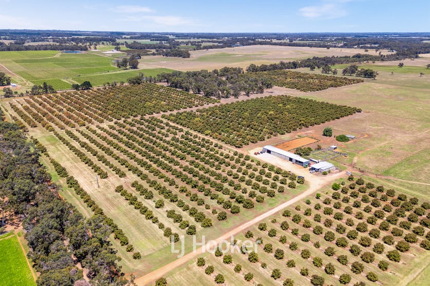 1086 Kaloorup Road, Kaloorup WA 6280 - Image 3