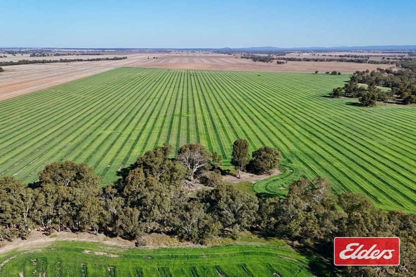 Loddon West Road Fiery Flat VIC 3518 - Image 1
