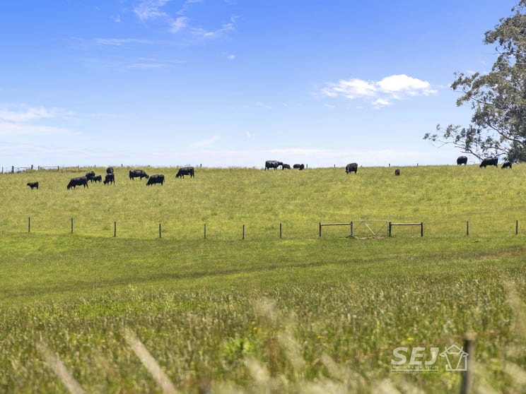 155 Coulters Road Mardan VIC 3953 - Image 3