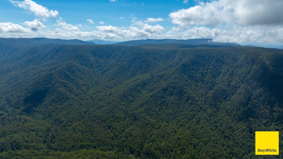 Lower Creek NSW 2440 - Image 1