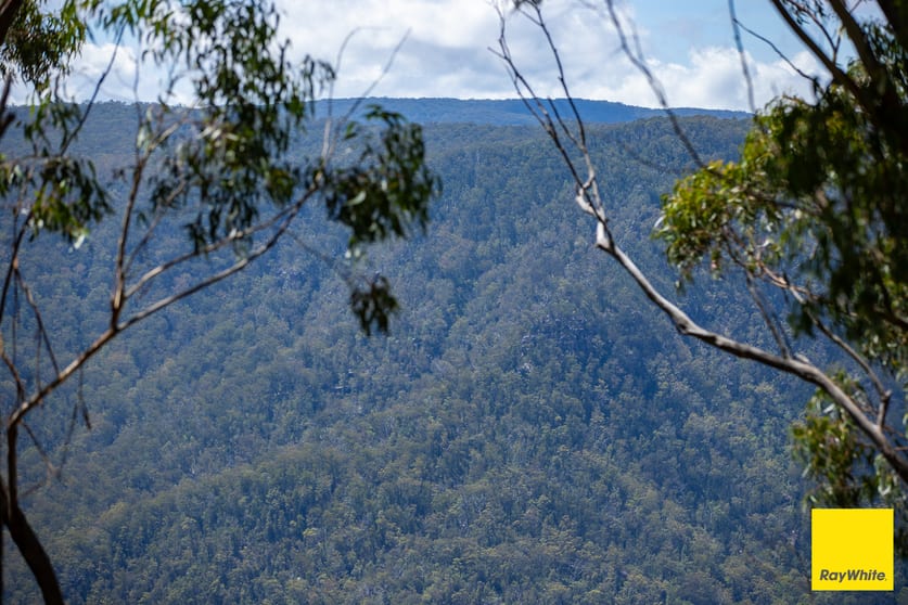 Lower Creek NSW 2440 - Image 3