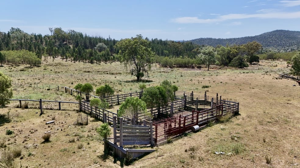 957 Killarney Gap Road Bingara NSW 2404 - Image 3