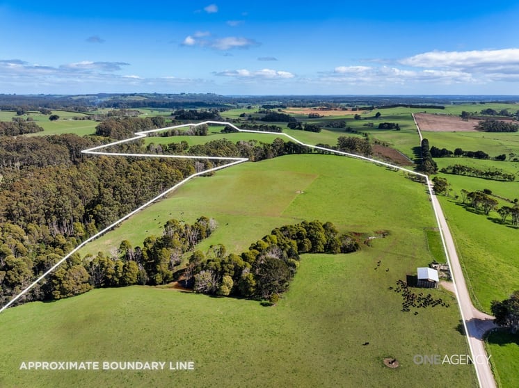 206 Murrays Lane South Forest TAS 7330 - Image 2