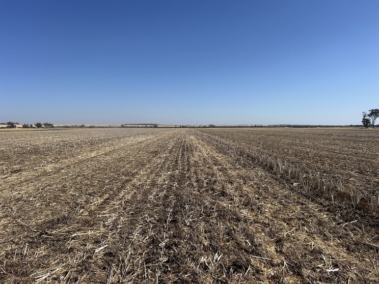 Dwarlacking Road Bulyee WA 6306 - Image 1