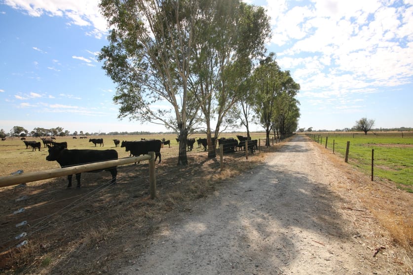 1480 Fennaughty Road Merrigum VIC 3618 - Image 1