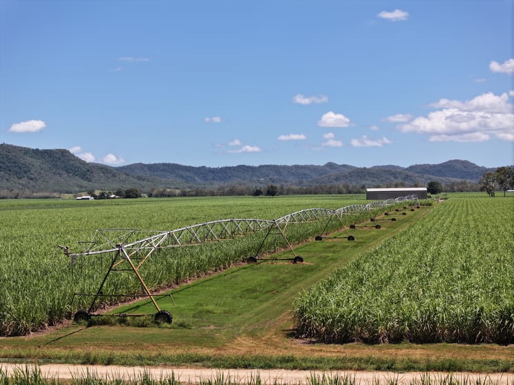 Click to view all images 2143 Mackay Eungella Road Mirani QLD 4754 - Image 1