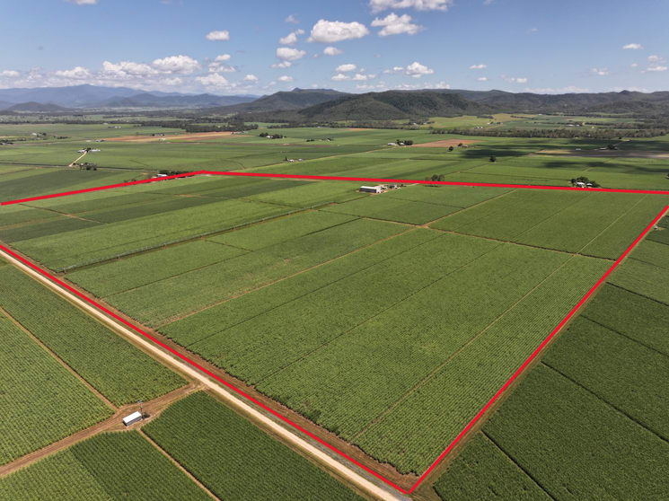 Click to view all images 2143 Mackay Eungella Road Mirani QLD 4754 - Image 2