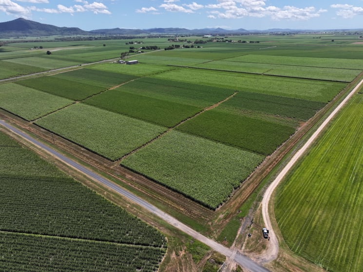 Click to view all images 2143 Mackay Eungella Road Mirani QLD 4754 - Image 3