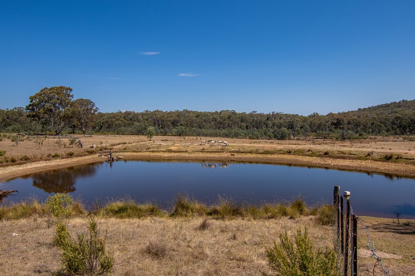 448 Wallawaugh Road Mudgee NSW 2850 - Image 2